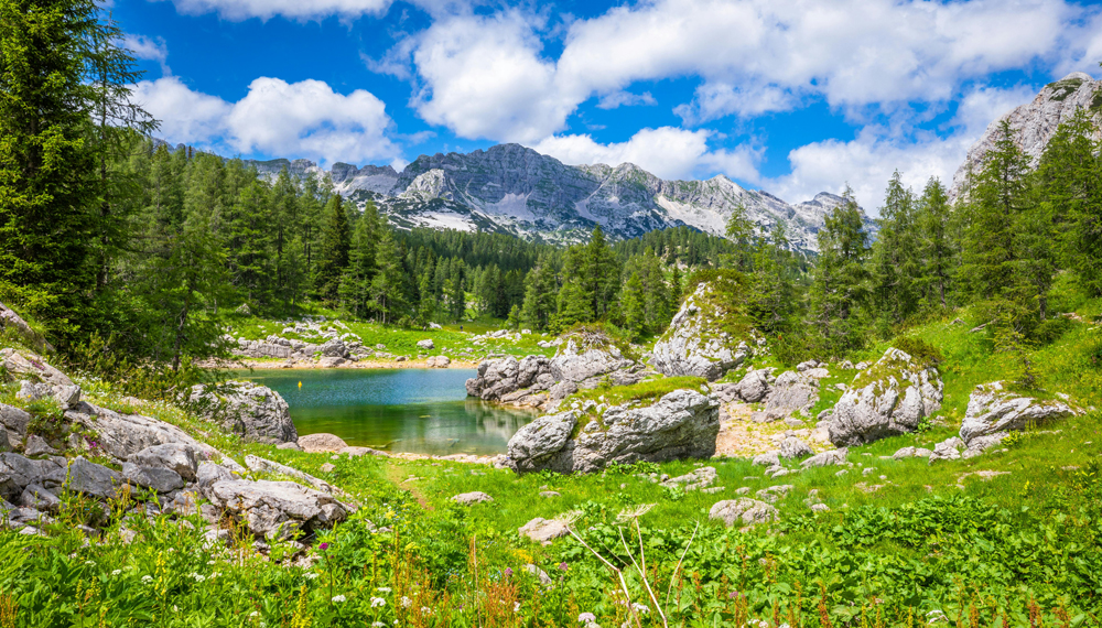 Triglav National Park, Slovenia (photo by Gunter Nuyts - pexels.com)