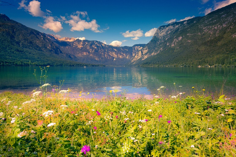 Lake Bohinj, Triglav National Park (© Jojjik | Dreamstime.com)
