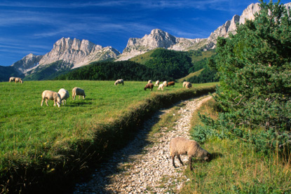 Vercors Regional Nature Park, Rhône-Alpes (&copy; gui00878 - iStockphoto.com)