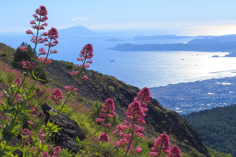 View of the Bay of Naples from Mount Vesuvius (© Travis Rogers | Dreamstime.com)