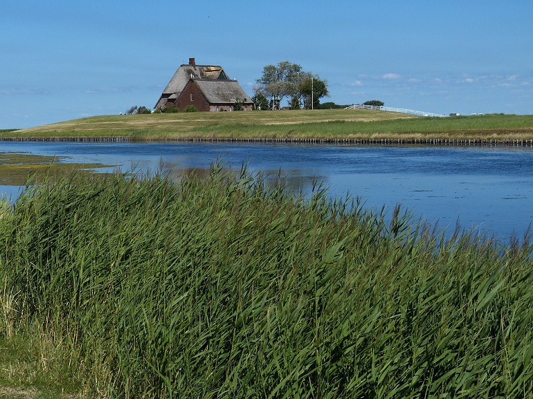 Hooge, Wadden Sea National Park (photo by falco from Pixabay)