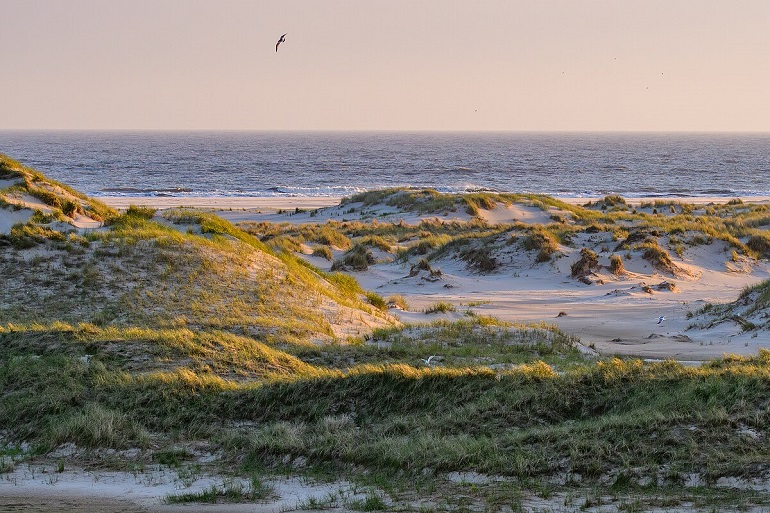 Dune landscape of the Ostheller Norderney, Wadden Sea National Park (photo by Stephan Sprinz - CC BY 4.0)