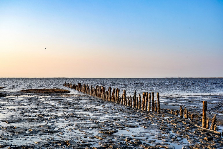 Sandbank, Wadden Sea National Park (photo by Thorsten Blank from Pixabay)