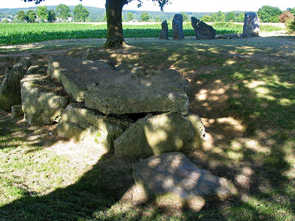 Dolmen of Oppagne near Weris (photo by Jean-Pol GRANDMONT - CC BY-SA 3.0 Unported license)