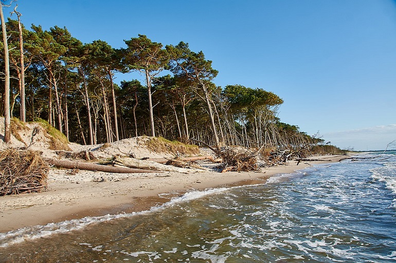 Western Pomerania Lagoon Area National Park (© Günter Seggebäing, CC BY-SA 3.0)