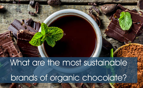 How to choose the best chocolate for your health and for the planet