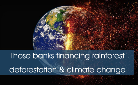Those banks destroying the Planet