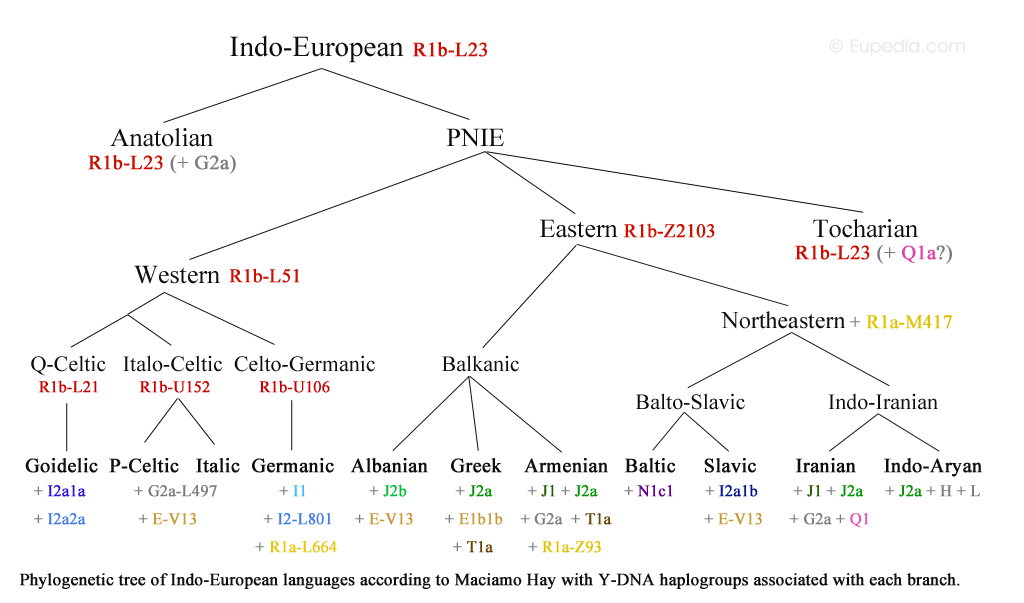 Indo-European_languages_tree.png