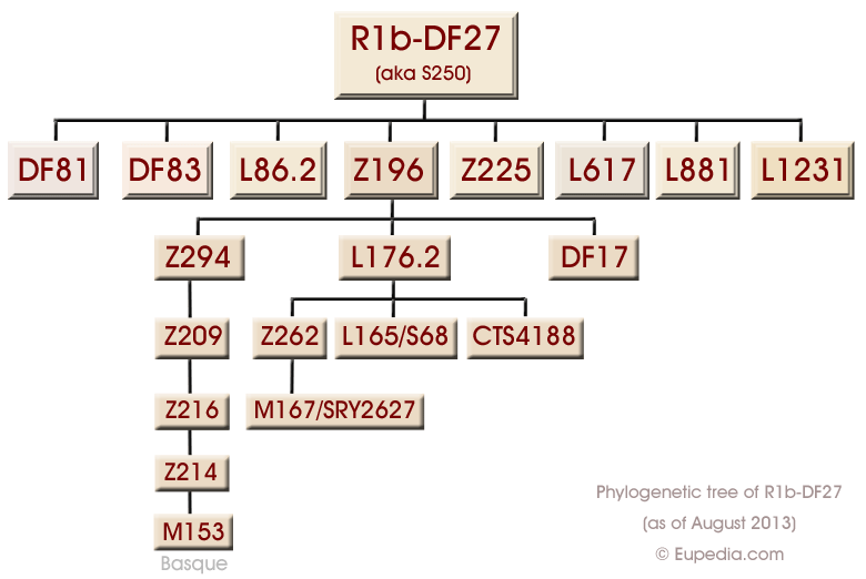 R1b-DF27-tree.png