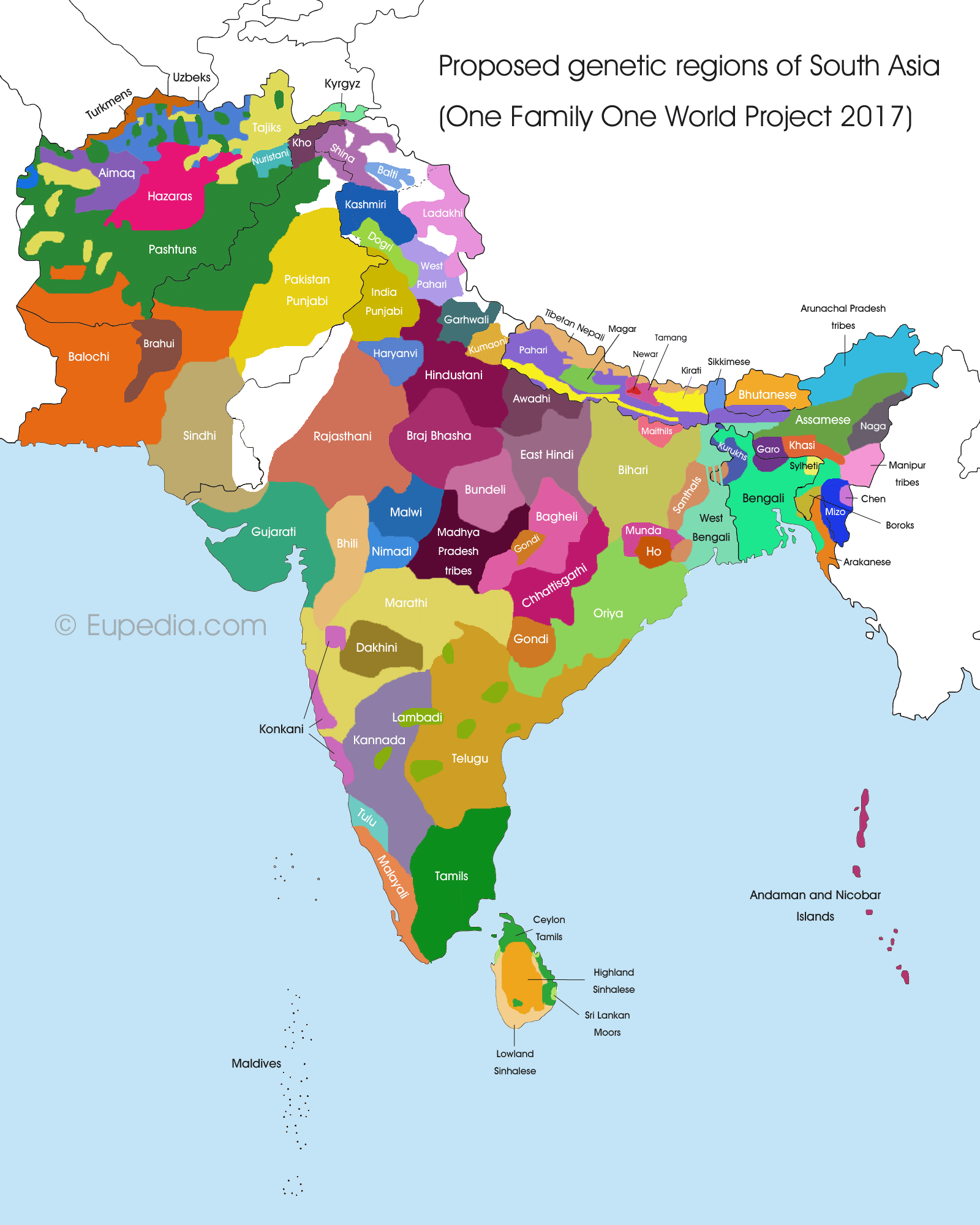 Proposed genetic divisions of South Asia - One Family One World DNA Project