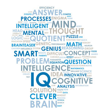 Characterics of high IQ individuals