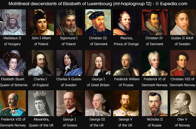 Matrilineal descendants of Elizabeth of Luxembourg, all belonging to mtDNA haplogroup T2 - © Eupedia.com